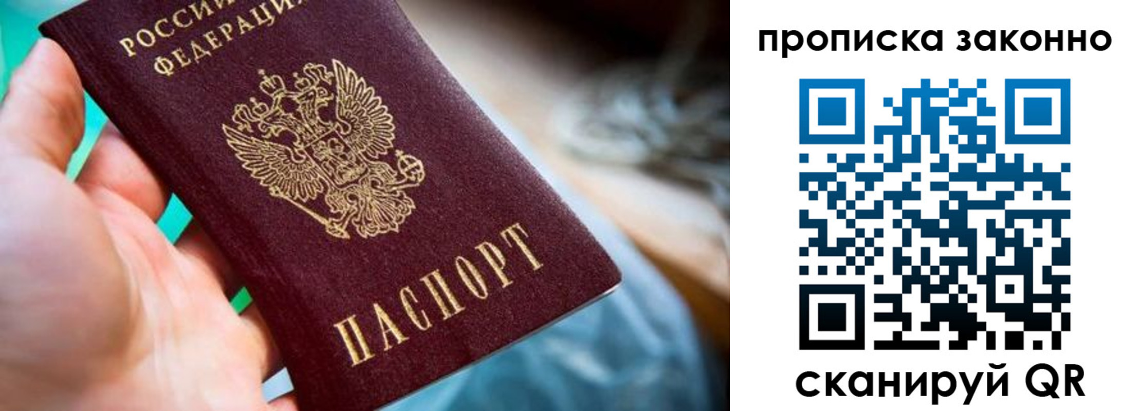 временная регистрация надежно в Светлогорске
